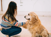 6 Reasons Why Male Dogs Prefer Female Owners Over Male Owners