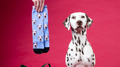 Gifts for Dog Owners: The Ultimate Top 10 List