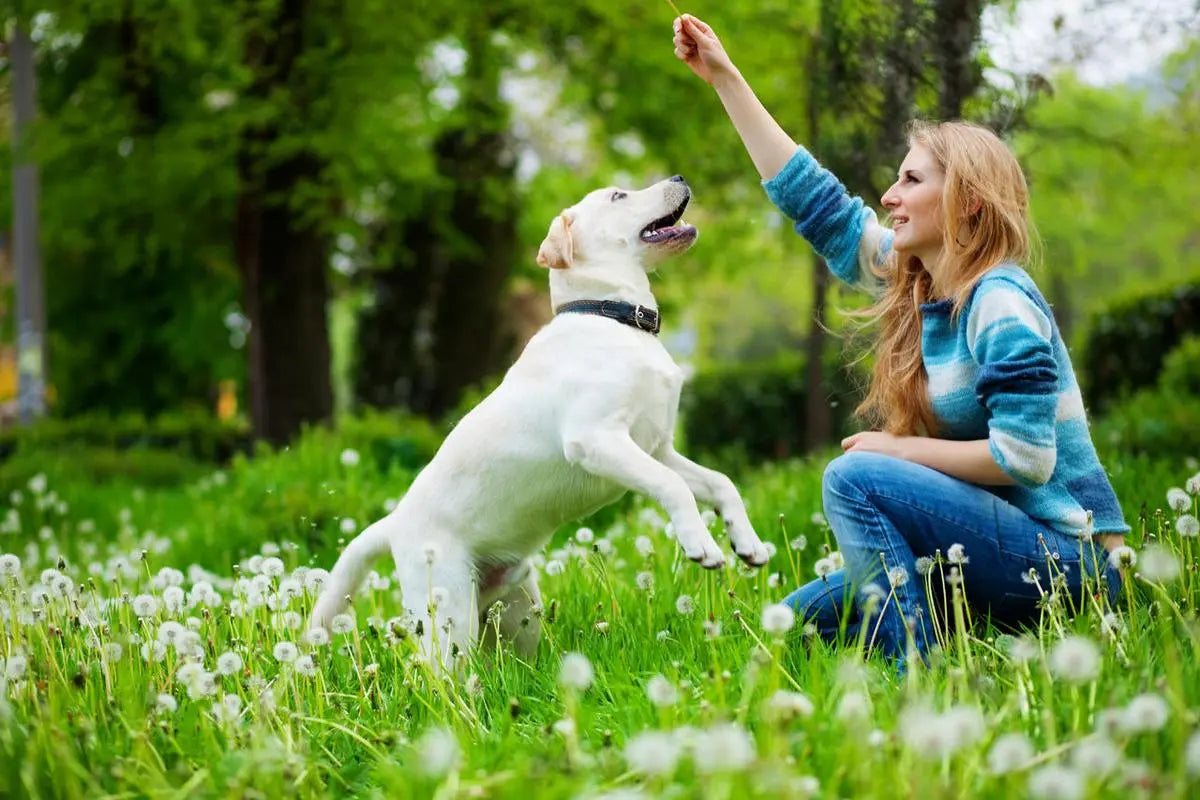 Unique Personalized Dog Mom Gifts: Your Target for Special Surprises