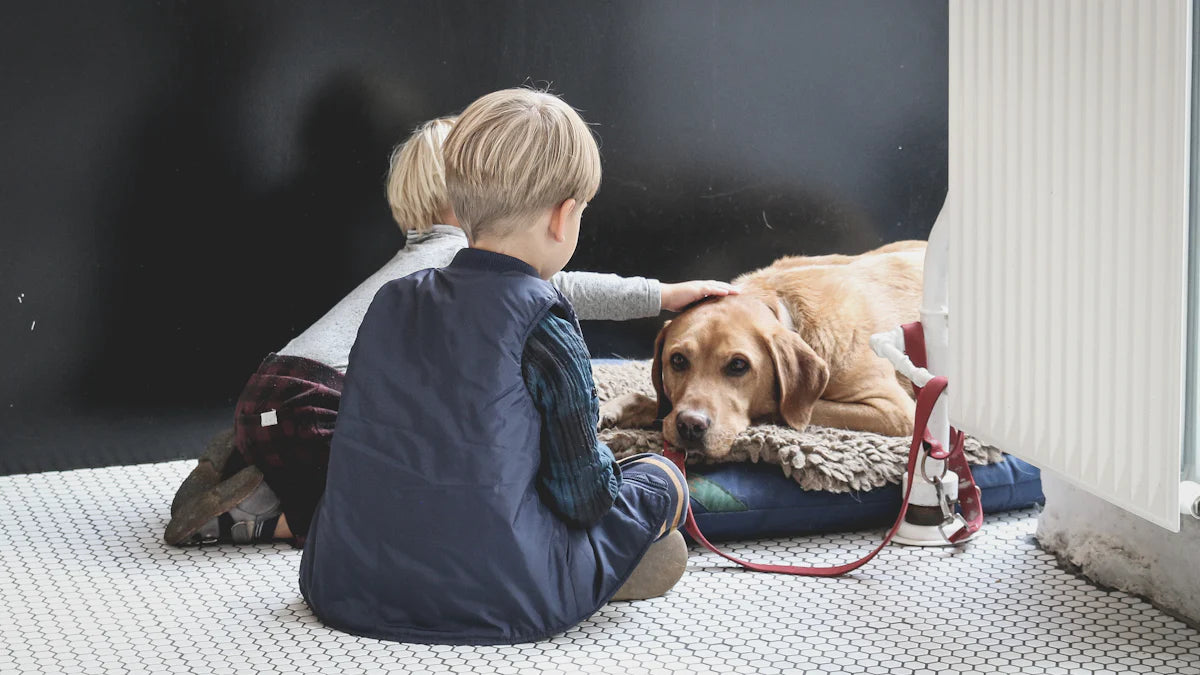 How to take care of a dog for kids