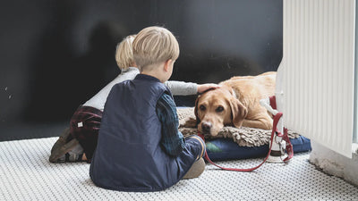 How to take care of a dog for kids?