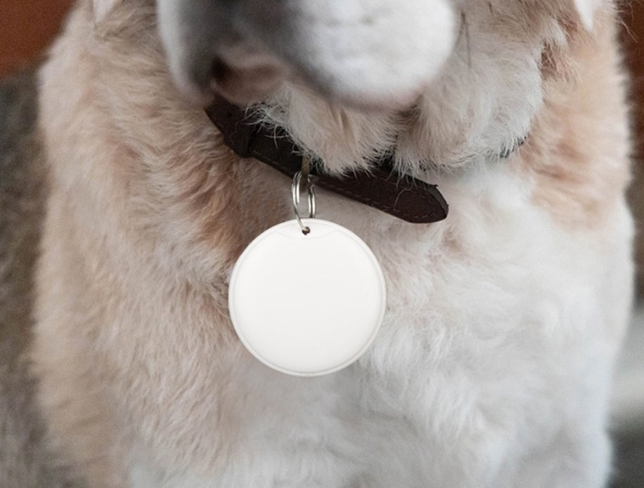 pet Tracker Tag