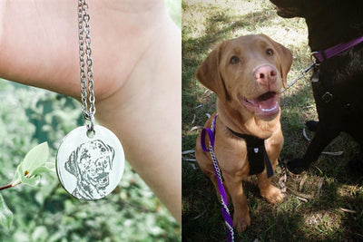 Where Can I Customize a Dog Necklace? Your Ultimate Guide