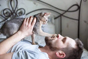 8 Reasons Why Your Cat Likes Its Paws on Your Face