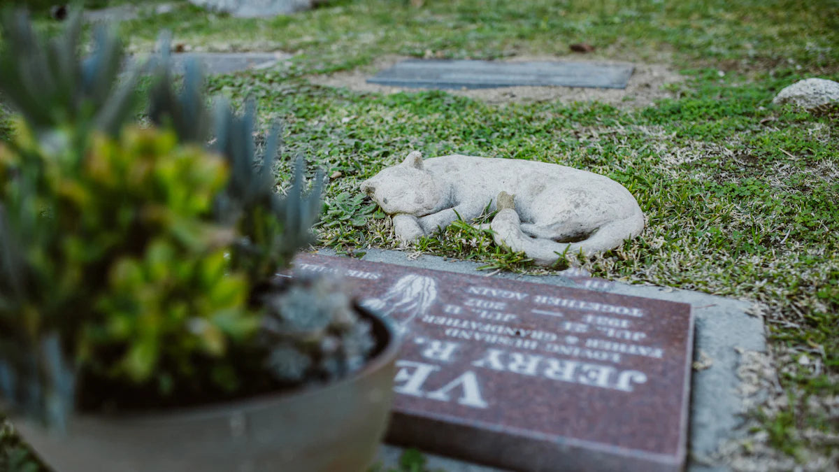 Pet Burial vs Cremation in 2025: Which Option is Right for You?