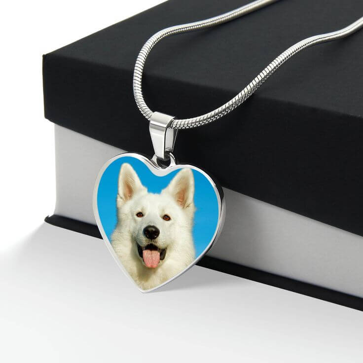Personalized Printable Jewelry for Pets A Modern Tribute to Beloved Companions