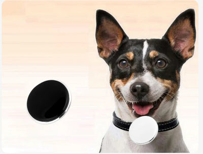 GPS Pet Tracker Tag: Keep Tabs on Your Furry Friend