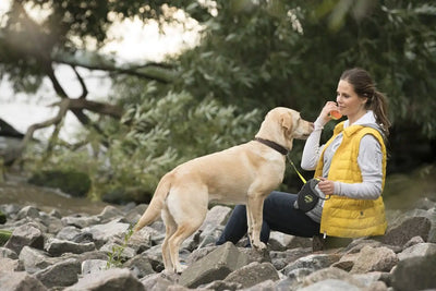 Why Dog Lovers Jewelry Makes the Perfect Gift for Pet Owners