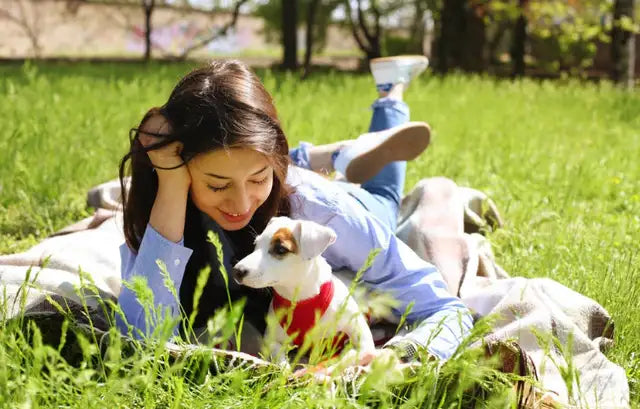 Why Do Dogs Prefer Female Owners? Tips to Bond Better