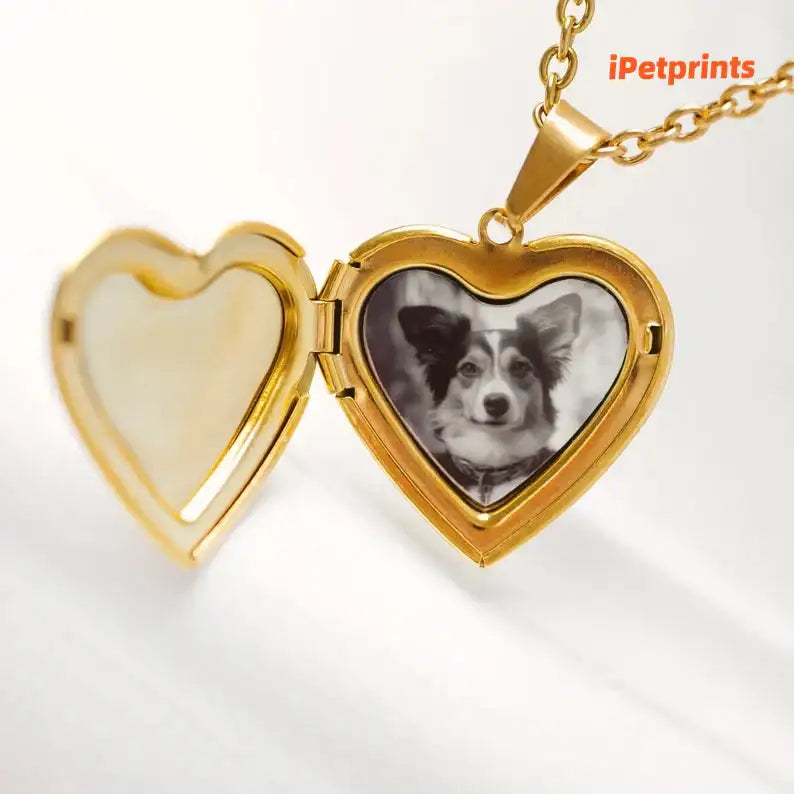 iPetprints Custom Pet Portrait Locket Heart Necklace