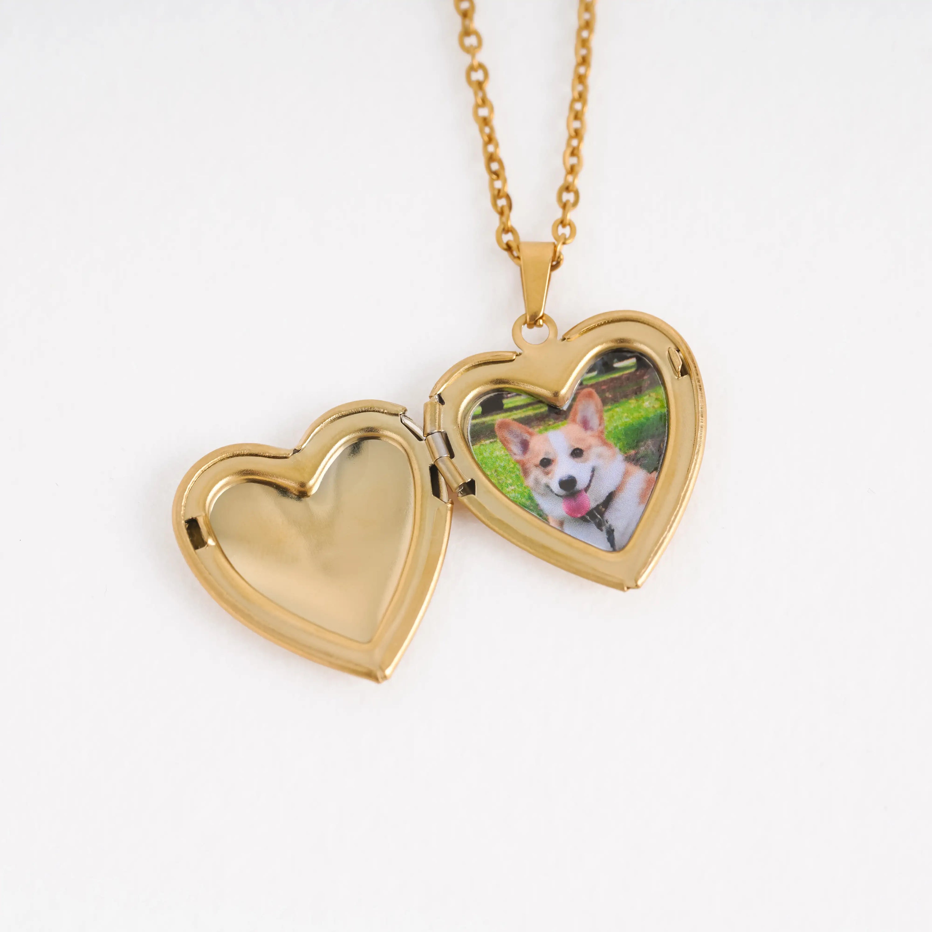 iPetprints Custom Pet Portrait Locket Heart Necklace